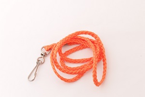 Lanyard shoelace with swivel clip