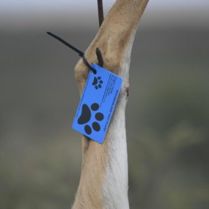 Hunting tags
